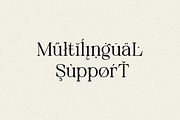 Neutical Serif Font Family (12 Font), a Serif Font by Heinzel Std (Thumbnail 12 of 19)