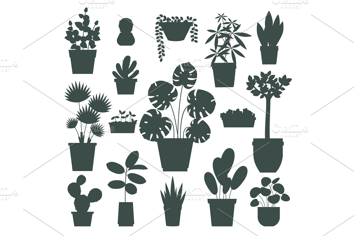 Set silhouettes domestic plants, an Object Illustration by YummyBuum