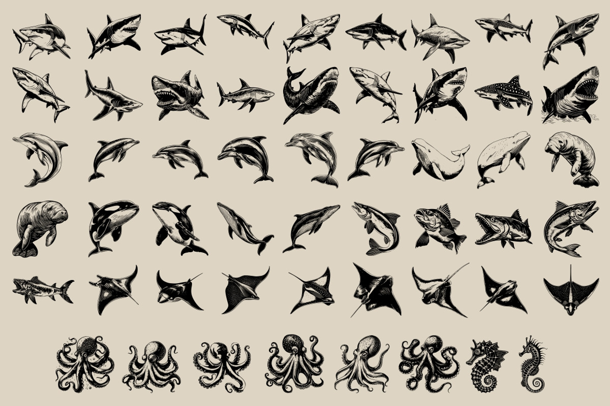 340 Sea Creatures illustrations, an Animal Illustration by Nocturnal Wolf (Photo 10 of 15)