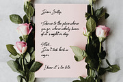 Mr. Skywhale Signature Script Font, a Handwritten Font by ashenterprise (Thumbnail 9 of 16)