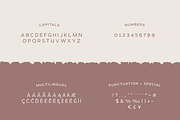 DelRay - Sans Serif Ligature Typefac, a Serif Font by Surplus Type Co (Thumbnail 9 of 13)