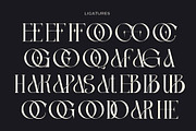 Bloved a Classy Thin Serif Font, a Serif Font by Honestype (Thumbnail 11 of 12)
