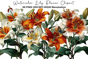 Watercolor Lily Flower Clipart, an Illustration by Black Bird Studio (Thumbnail 1 of 5)