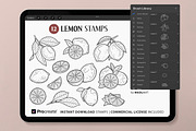 Lemon Fruit Procreate Brush Stamps, a Shape Add-On by MadliArt (Thumbnail 2 of 5)