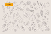Vegetables, vector, a Food Illustration by Olha Kalyta (Thumbnail 9 of 10)