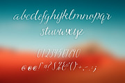 Hadley Script, a Script Font by OnTheSpotStudio (Thumbnail 3 of 5)