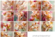 Dreamy Floral Blurred Backgrounds, a Background Graphic by Altea Design Studio (Thumbnail 15 of 16)