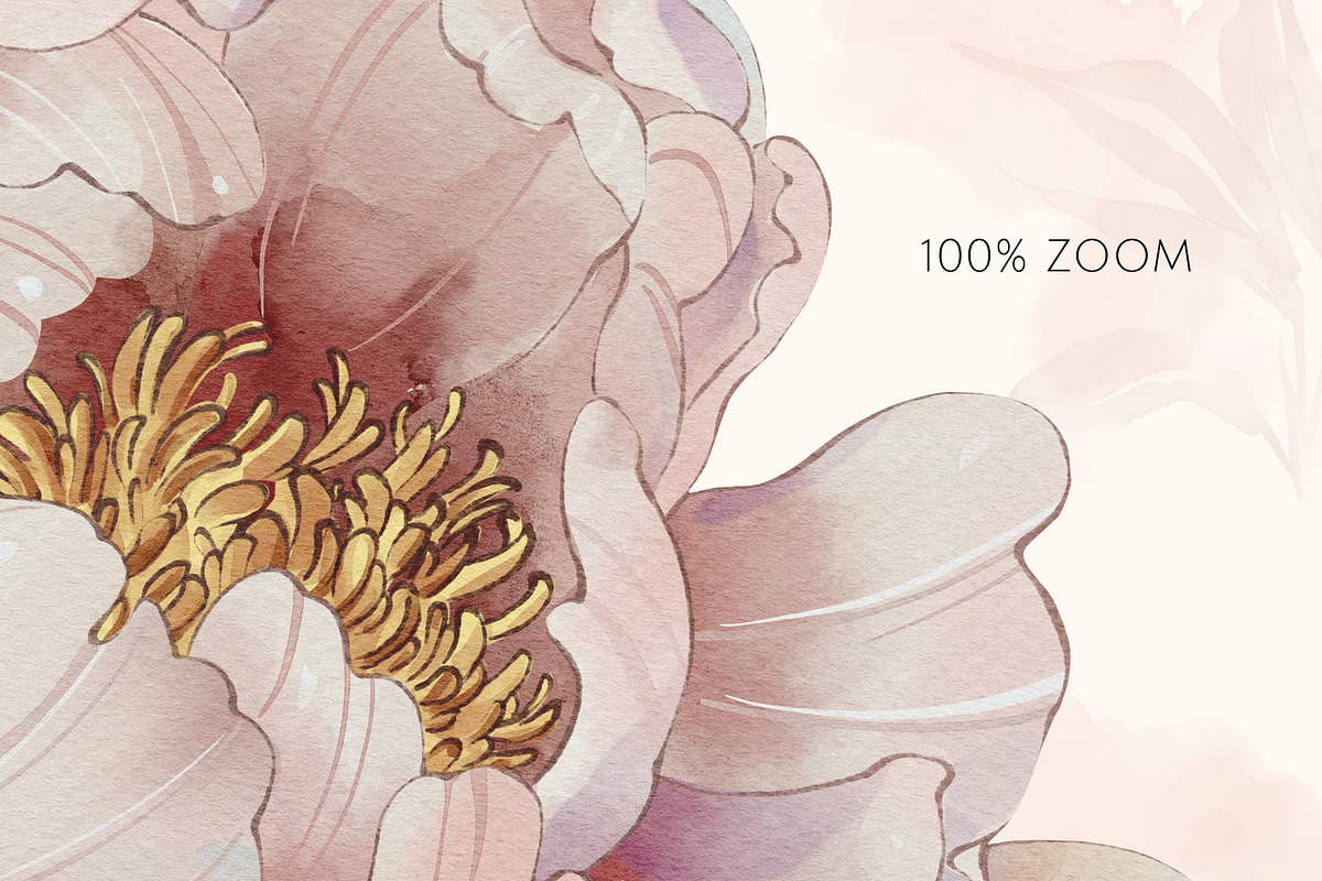 ROMANTIC PEONIES watercolor set, a Decorative Illustration by Yuliia Lashevska (Photo 10 of 14)
