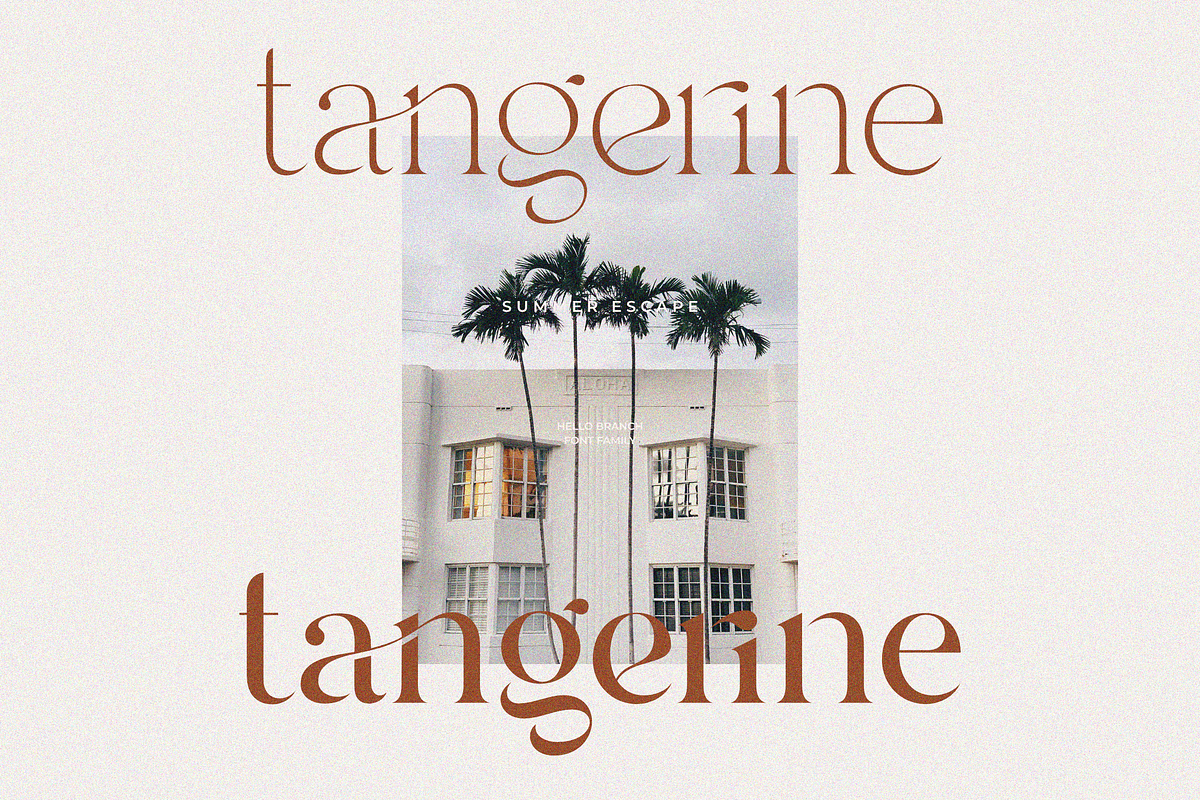 Hello Branch 8 Font Family, a Serif Font by Sans & Sons (Photo 12 of 12)