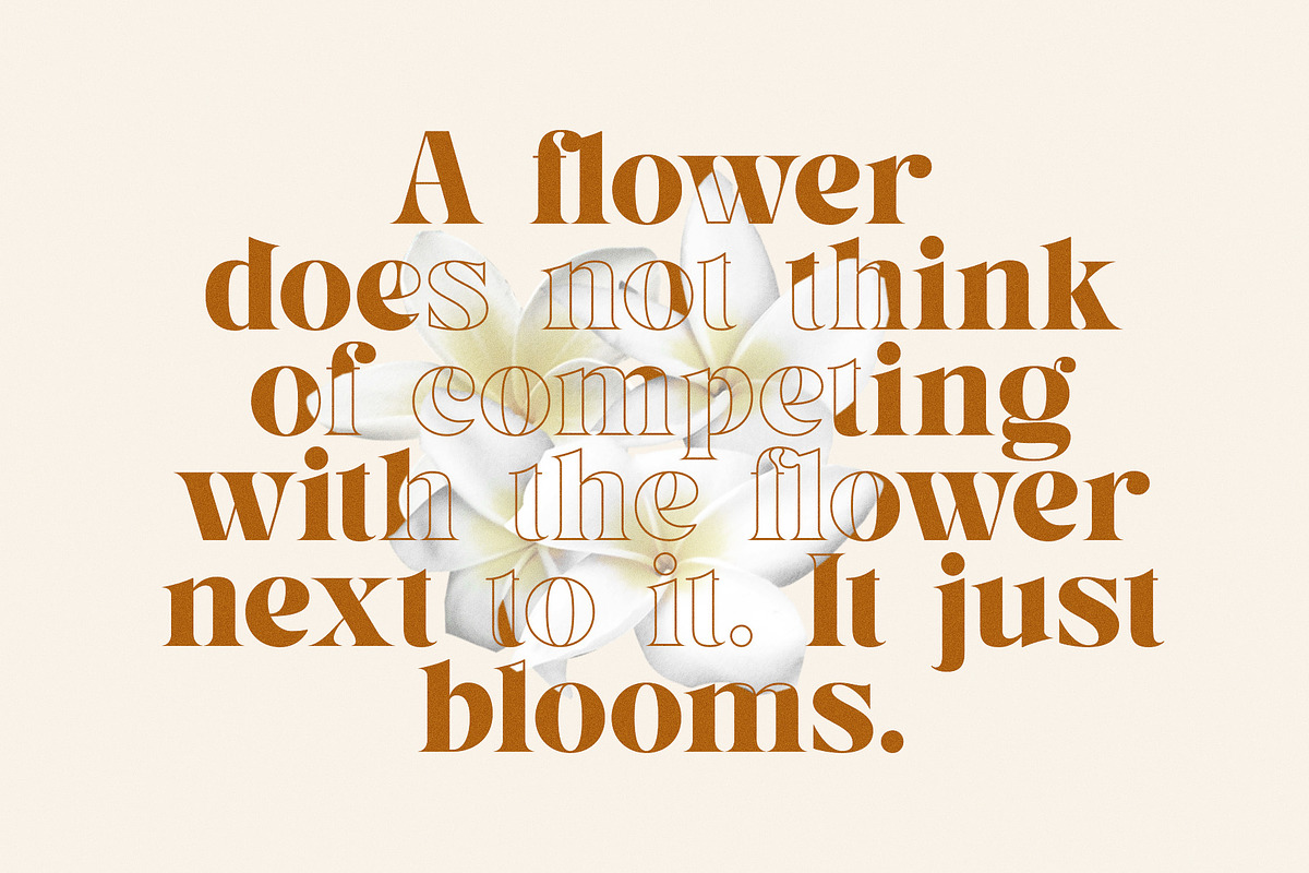 Melyan - Classy & Stylish Serif, a Serif Font by TypeLogue (Photo 3 of 5)