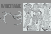 Deer Horns, an Animal 3D Model by Beatheart Creative Studio (Thumbnail 17 of 17)