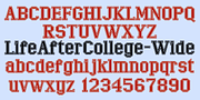 LifeAfterCollege, a Slab Serif Font by Ingrimayne Type (Thumbnail 4 of 8)