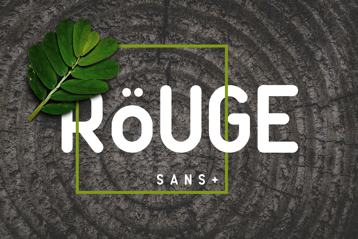 Sale 40% OFF - Rouge Sans, a Sans Serif Font by FactoryType (Photo 1 of 8)