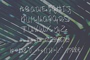 Tropical Flow, a Script Font by Suhandi (Thumbnail 5 of 5)