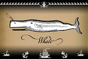 Geographica Script, a Script Font by Three Islands Press (Thumbnail 2 of 5)