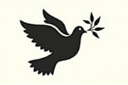Peace Bird Silhouette Pack, an Illustration by jahid234 (Thumbnail 5 of 21)