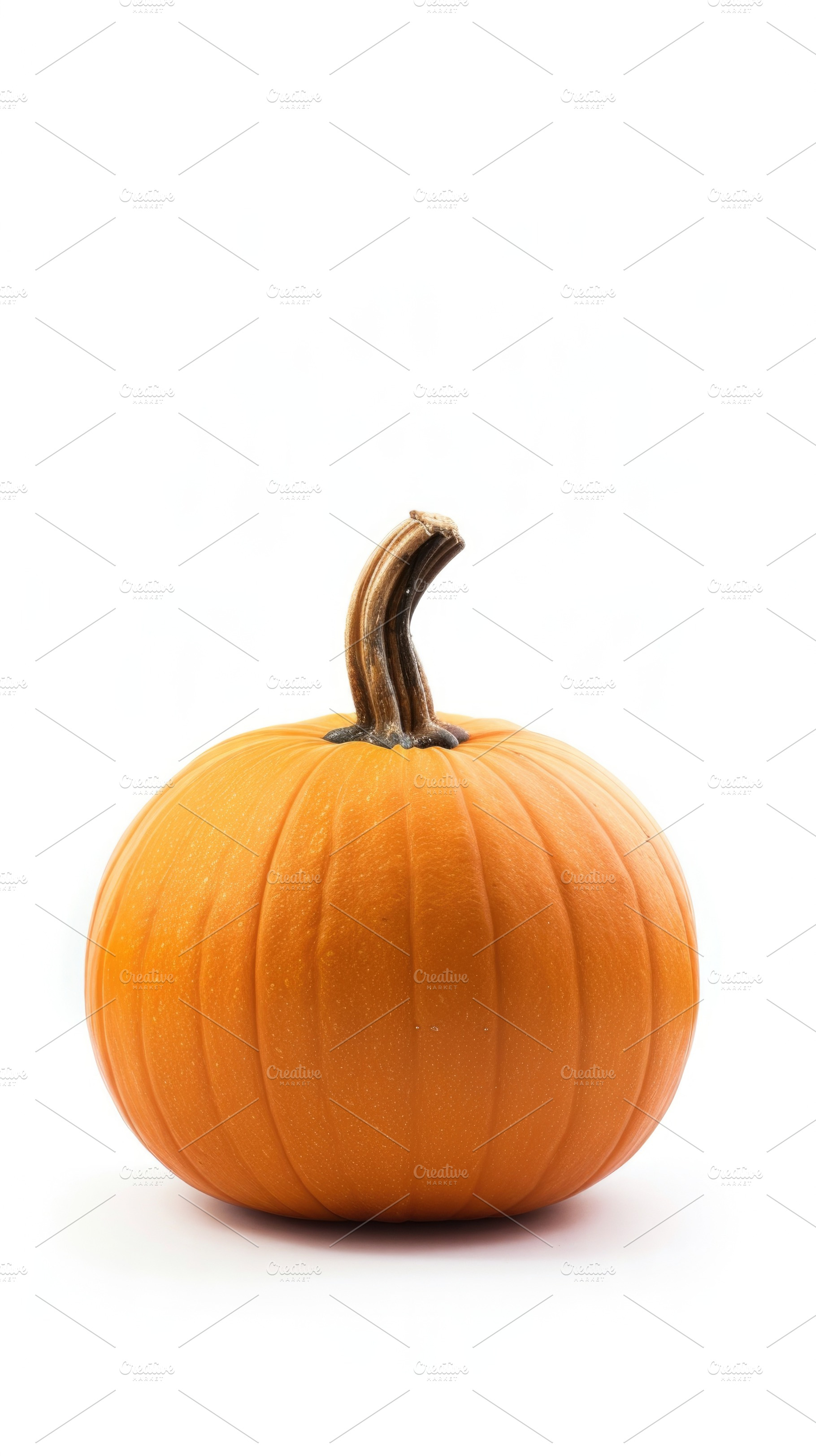 Close-up orange pumpkin isolated on white background, a Food & Drink Photo by José Manuel Gelpi