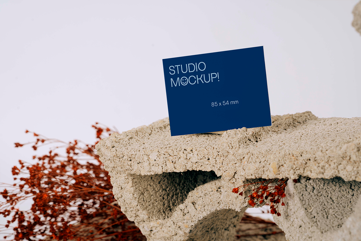 BUSINESS CARD MOCKUP BRUT, a Graphic by Le Studio Mockup (Photo 4 of 4)