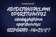 Graphiel - Modern Bold Script, a Script Font by figuree studio (Thumbnail 8 of 9)