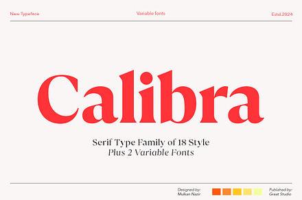 Calibra 20 Fonts | Save 40%, a Serif Font by Mulkan Nazir