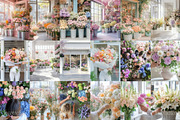 50 Florist Stock Photos, a Nature Photo by Incomelion (Thumbnail 3 of 9)