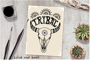 Tribal skull & feathers, a Decorative Illustration by Live line (Thumbnail 2 of 5)