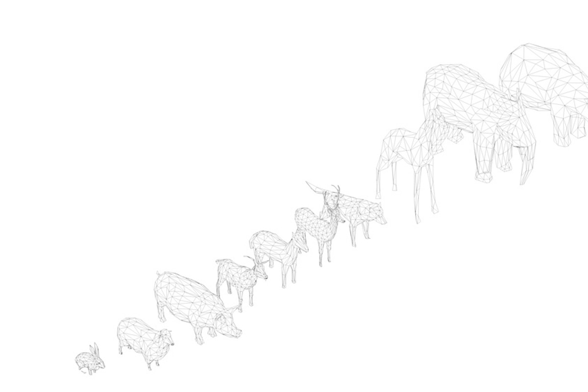 Low Poly Forest Animals Pack 1, an Animal 3D Model by Anton Moek (Photo 3 of 12)