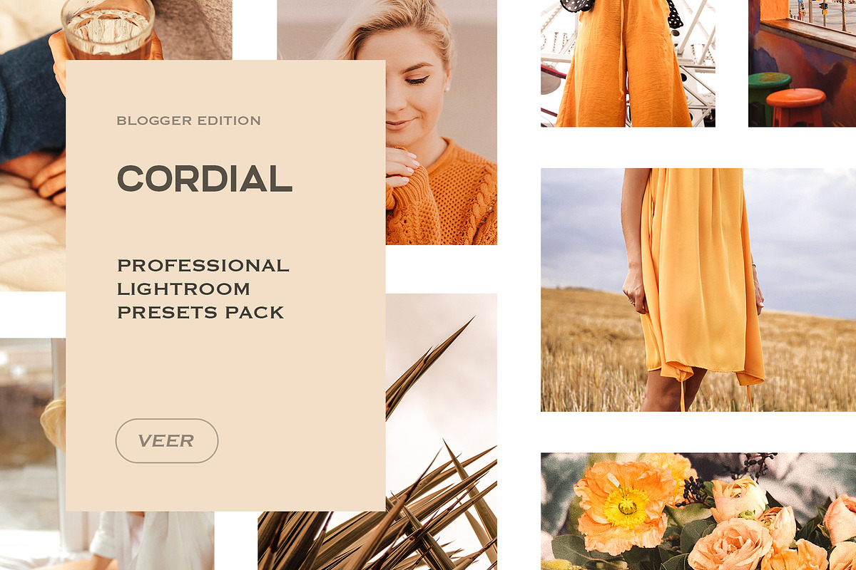 Presets Lightroom Bundle Mobile, a Preset Add-On by VEER (Photo 5 of 22)