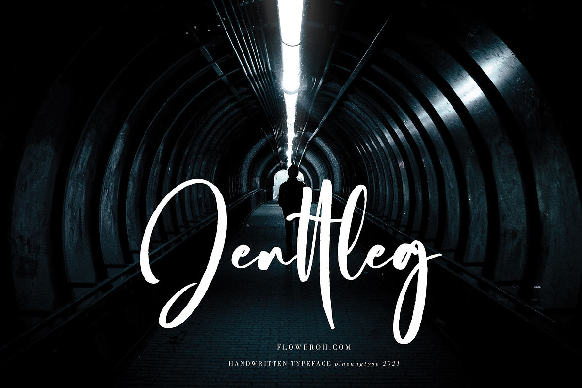 Bilattera, a Script Font by pineungtype (Photo 7 of 8)