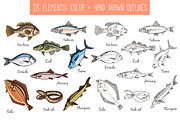 Fish Collection and patterns, an Object Graphic by Tatti Graphic Studio (Thumbnail 2 of 3)