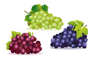 Fruit Cartoon Collection, a Decorative Illustration by YG Studio (Thumbnail 15 of 22)