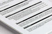 Klin • Professional realistic resume, a Resume Template by Dragoș Neagu (Thumbnail 3 of 5)