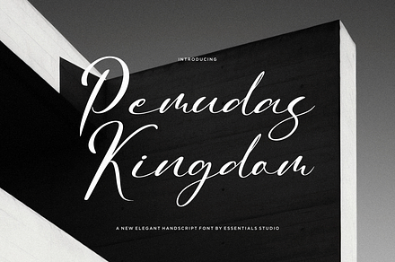 Pemudas Kingdom