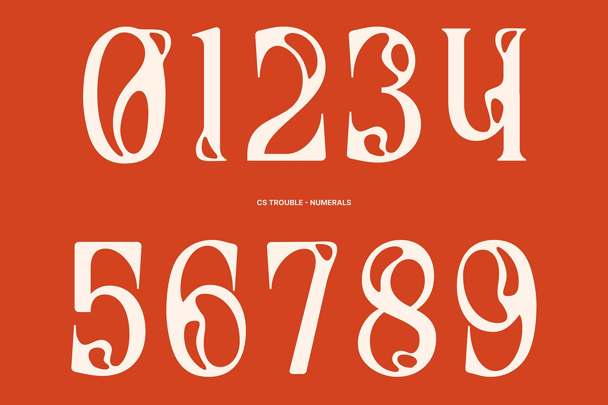Trouble – Melted Serif Font, a Serif Font by Craft Supply Co. (Photo 4 of 8)