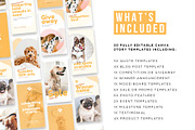 Pets Instagram Story Posts, a Social Media Template by Cultive Creative (Thumbnail 2 of 10)