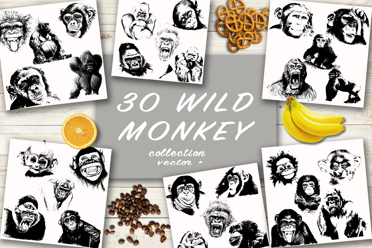 BUNDLE WILD ANIMALS VECTOR, an Animal Illustration by AnastasiyaOleynik (Photo 5 of 20)