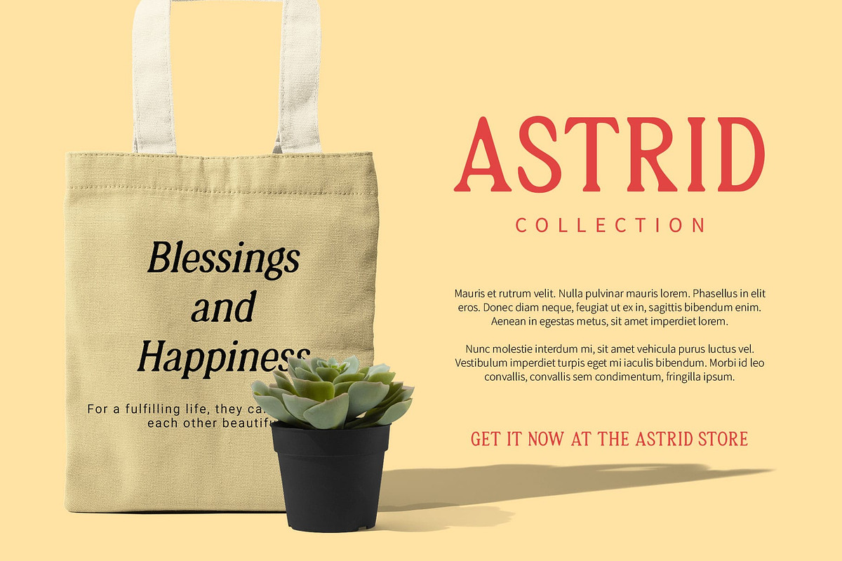Asthetic Blur, a Serif Font by Craft Supply Co. (Photo 6 of 8)