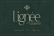 Lignée – High Fashion Sans Serif, a Sans Serif Font by Creacy Studio (Thumbnail 1 of 9)