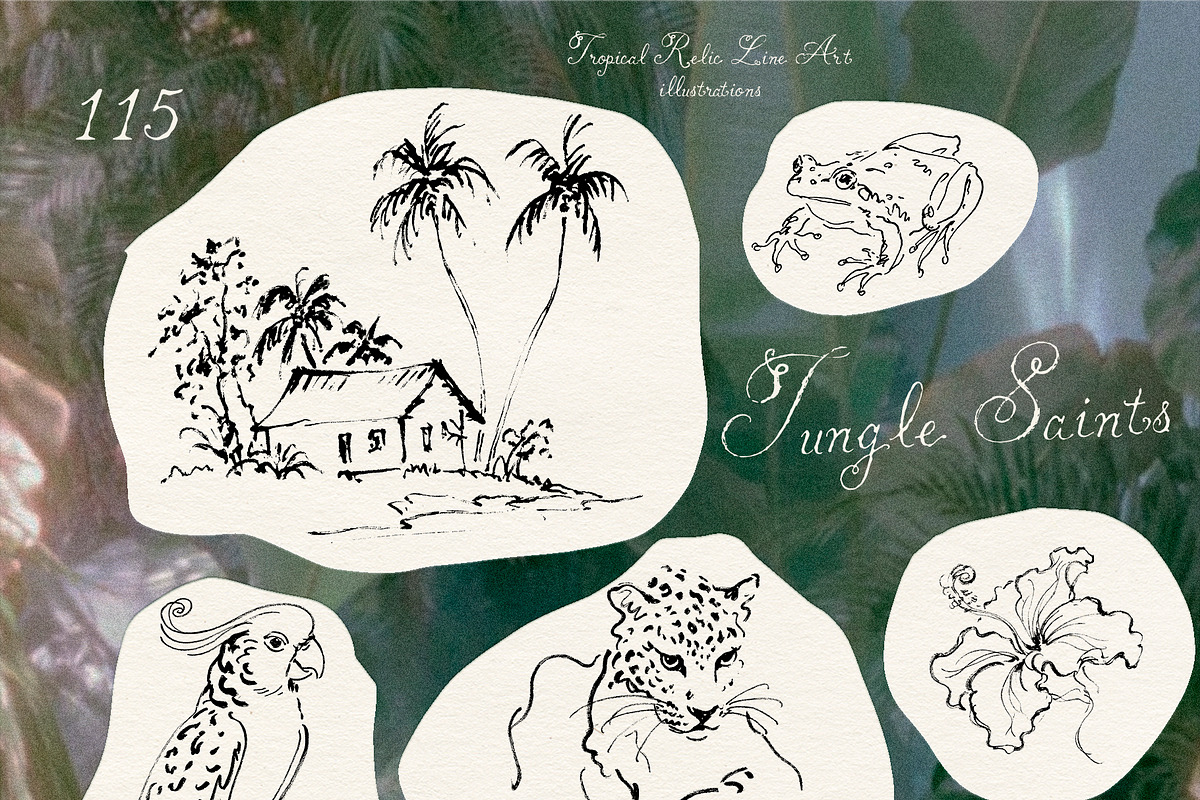 Jungle Saints: Tropical Line Art, an Object Illustration by Purple (Photo 6 of 15)