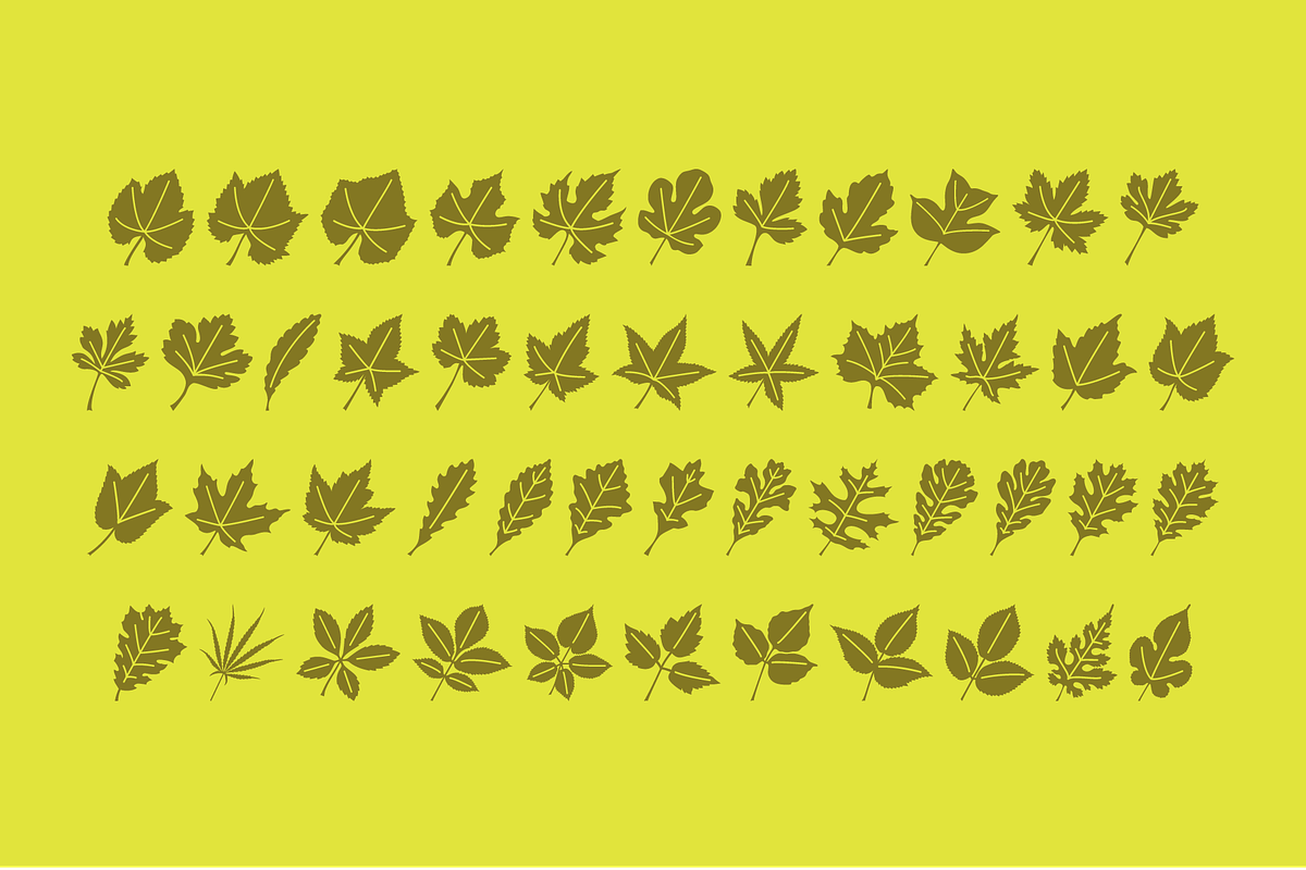 Leaf Assortment Font, a Symbol Font by GG Design