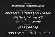 RAGAM GARIS - Brush Font, a Script Font by NTC Graphic (Thumbnail 8 of 9)