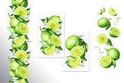 Lime citrus. Watercolor collection, a Food Illustration by Daria Ustiugova (Thumbnail 11 of 21)
