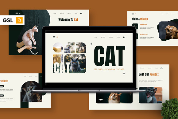 Cat - Pet Care Google Slide preview 7