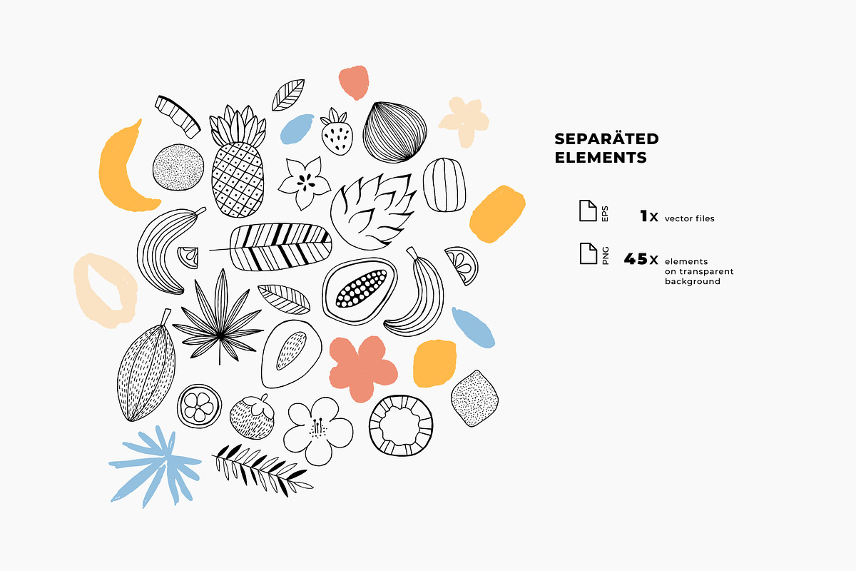 Tropical fruit illustrations, a Decorative Illustration by adehoidar (Photo 4 of 6)
