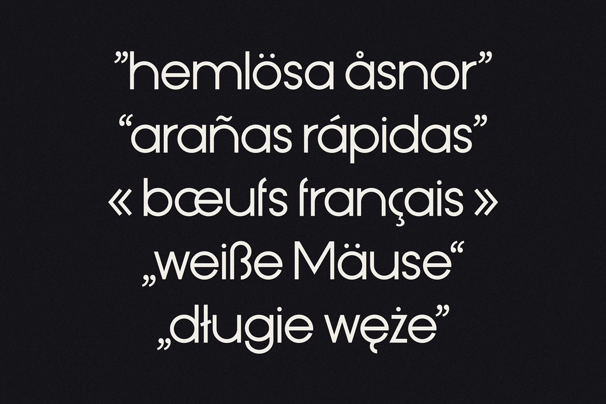Plato Sans - Geometric Display Font, a Sans Serif Font by Suolahti Type (Photo 7 of 11)