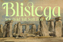 Blistega Bold Tall Serif Font