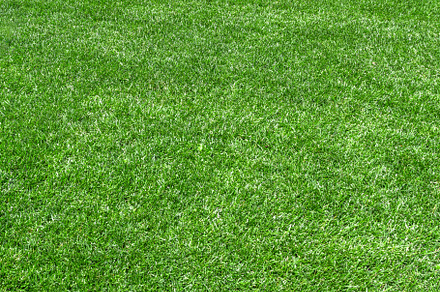 Synthetic grass background, a Wallpaper Photo by KYNA STUDIO