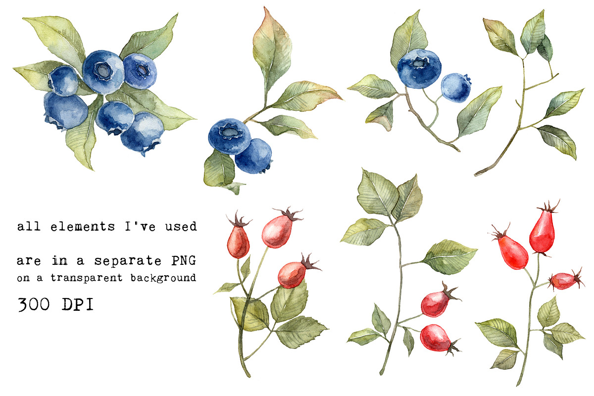 Watercolor berries, a Food Illustration by Dashamoony (Photo 4 of 4)