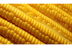 kernels corn close up ai generated, a Food & Drink Photo by pikepicture