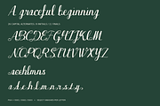 Sylva Belle Modern Calligraphy, a Script Font by Colorsfav (Thumbnail 10 of 10)